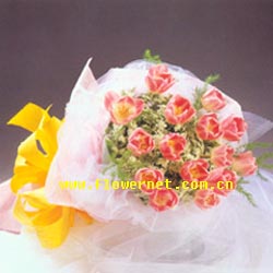 send Care for lover xiangfan