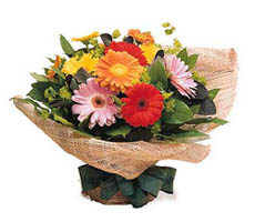 send gerberas bouquet Zhaoyang