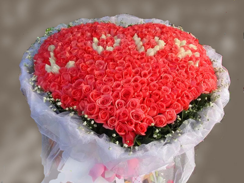 send 520 roses Datong