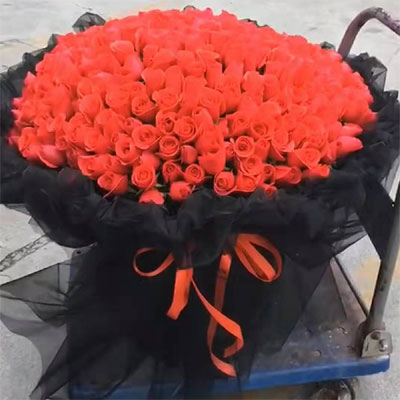 send 365 red roses Taiyuan