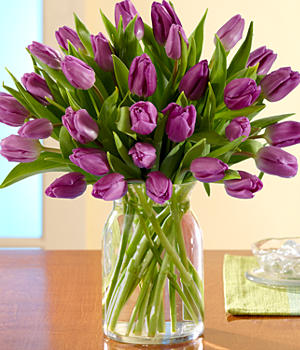 send 30 Purple Tulips beijing