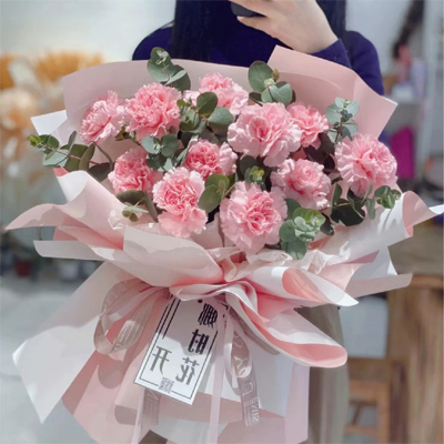 send 12 pink carnations shanghai