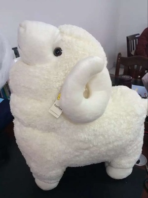 send The sheep   to china