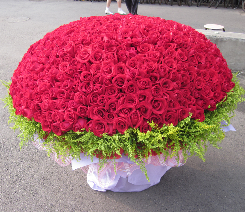 send 365 pink roses to china
