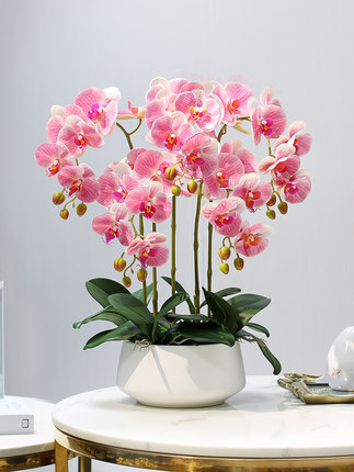 send butterfly orchids to china
