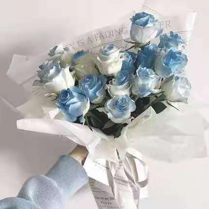 send blue gradient rose to china