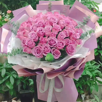 send 66 purple roses to guangzhou