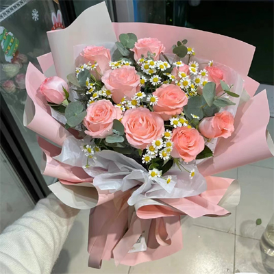 send 11 pink roses to nanning