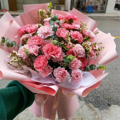 send carnations to city to chengdu