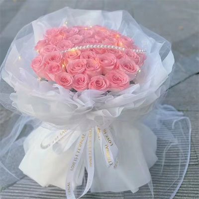send 33 pink roses  beijing