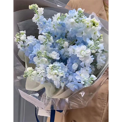 send 6 blue Violets china