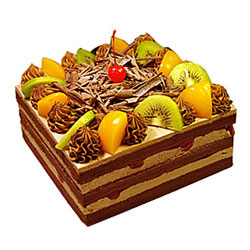 send chocolate fruit cake to 