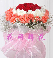 send 99 roses china