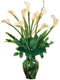 send 9 calla lilies to china