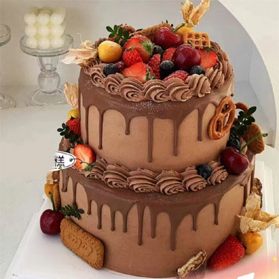 send two layer chocolate cake to  