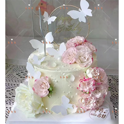 send roses cake to  