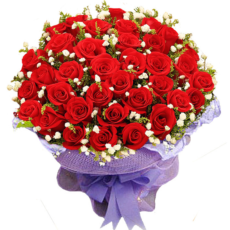 send 33 red roses 