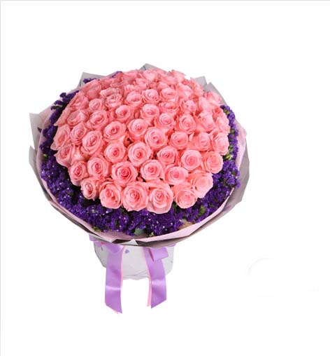 send 66 Pink roses 