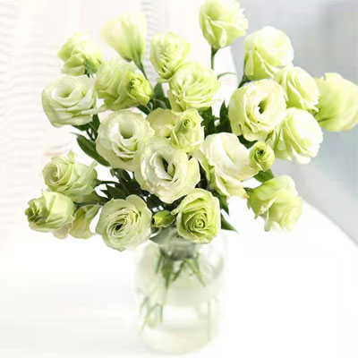 send green lisianthus to china