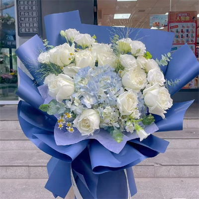 send white roses & hydrangea guangzhou