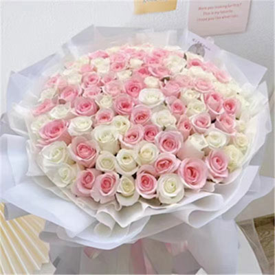 send 99 pink & white roses 