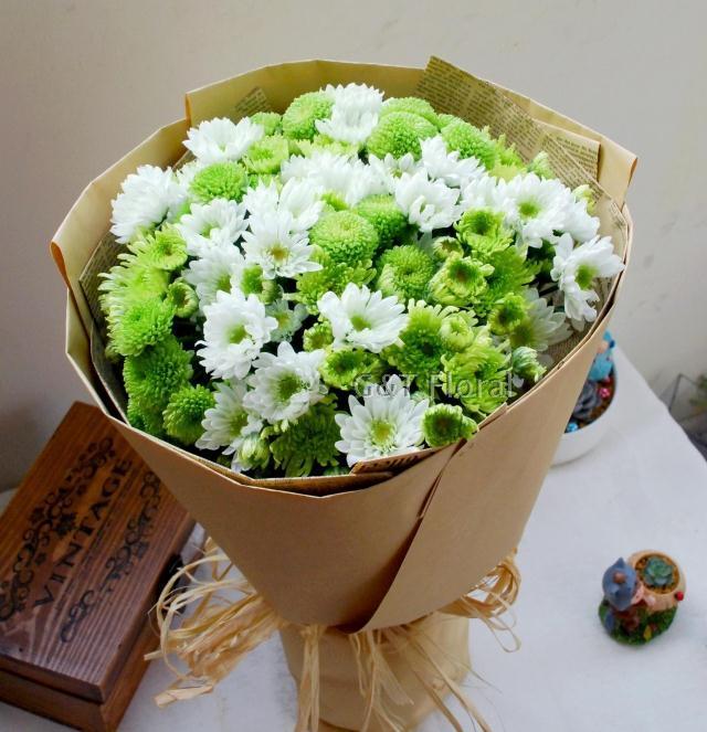 send green&white daisy 