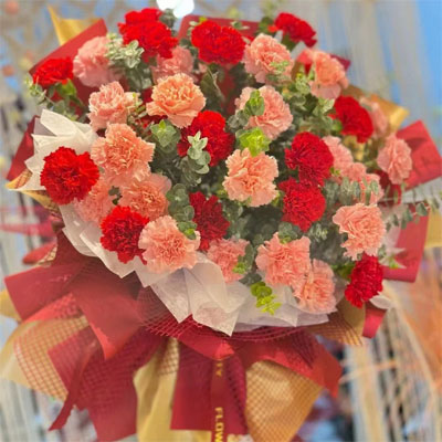 send red & pink carnations 
