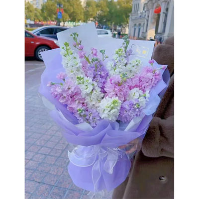 send 9 Violets hangzhou