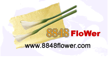 flowers delivery ,online flowers shop ,send flowers to 